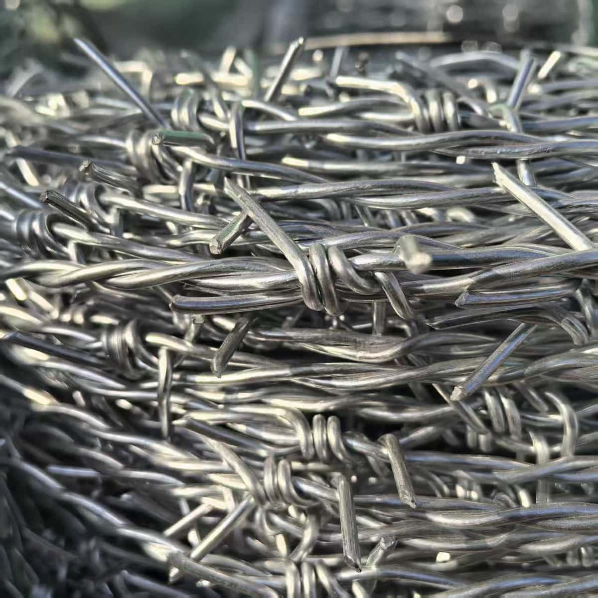 Wire barb detail